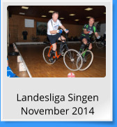 Landesliga Singen November 2014