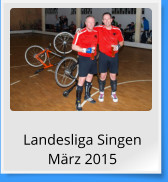 Landesliga Singen März 2015